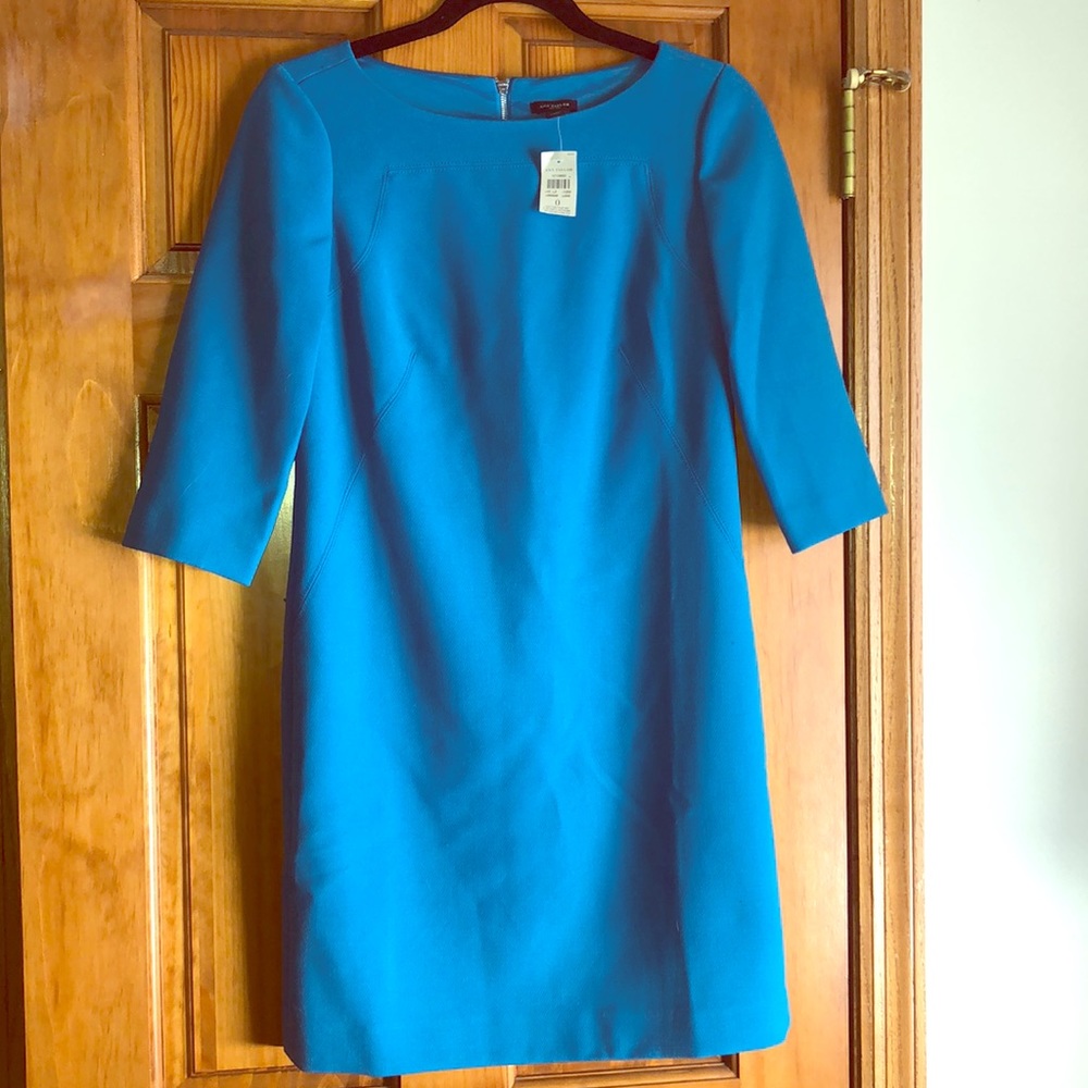 Ann Taylor 3/4 Sleeve Shift Dress